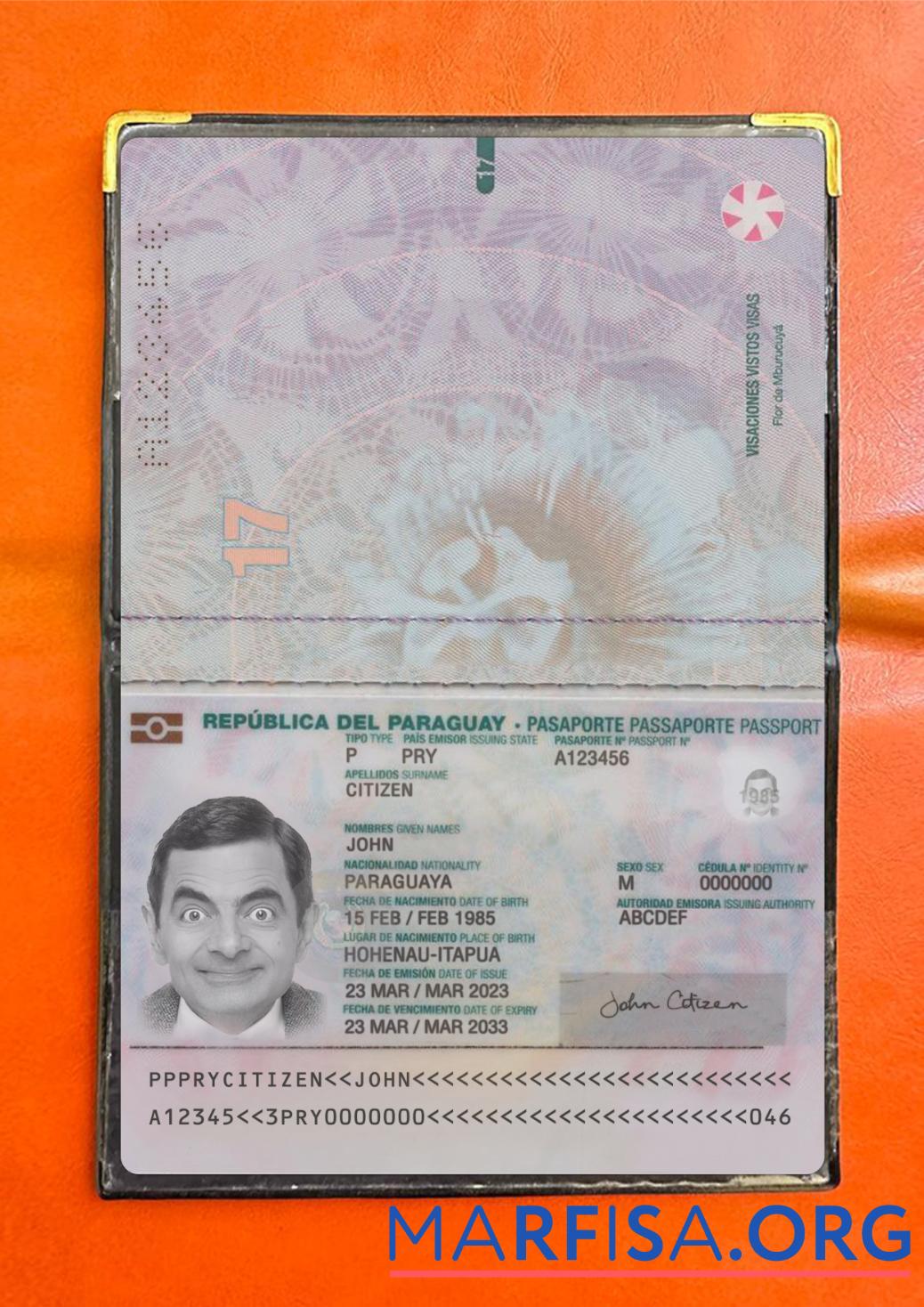 Printable Paraguay passport 2023 present photolook download for verification